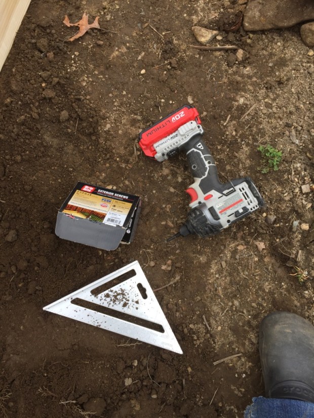 UNADJUSTEDNONRAW_thumb_44f