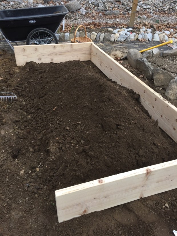 UNADJUSTEDNONRAW_thumb_450