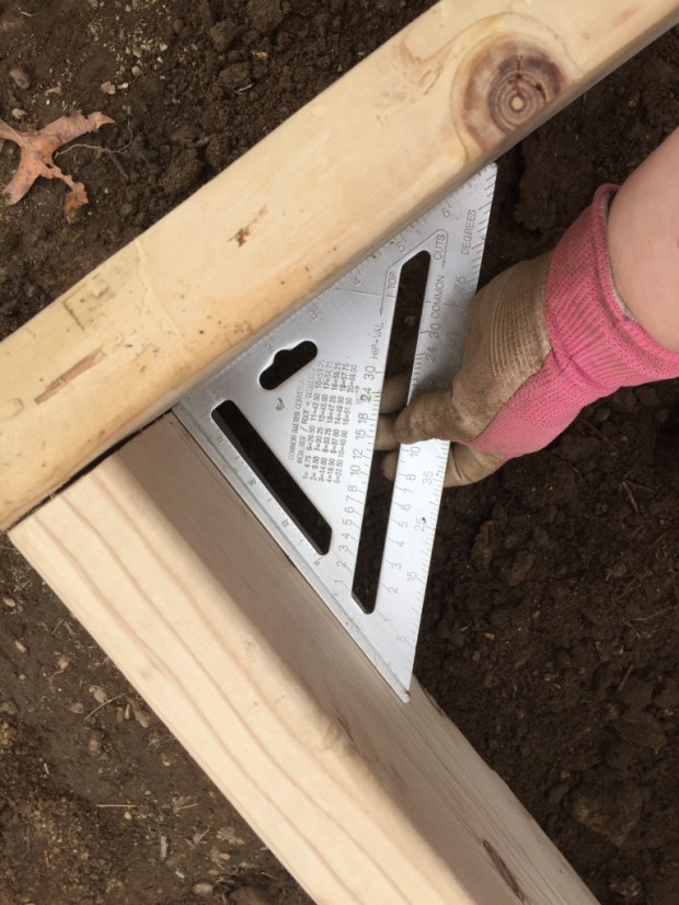 UNADJUSTEDNONRAW_thumb_451