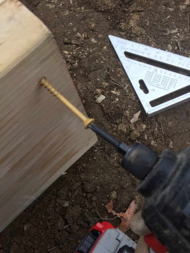 UNADJUSTEDNONRAW_thumb_457