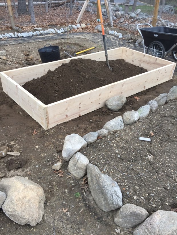 UNADJUSTEDNONRAW_thumb_45a